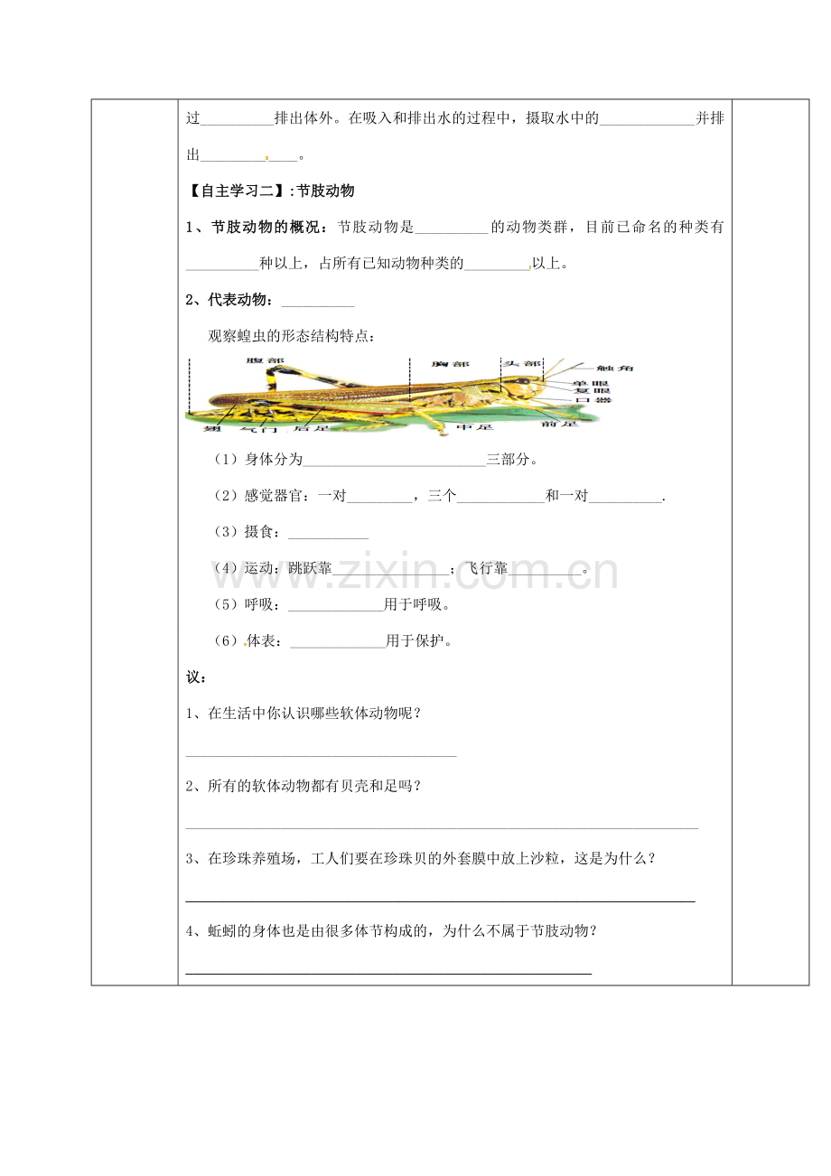 八年级生物上册 5.1.3 软体和节肢动物教案 （新版）新人教版-（新版）新人教版初中八年级上册生物教案.doc_第2页