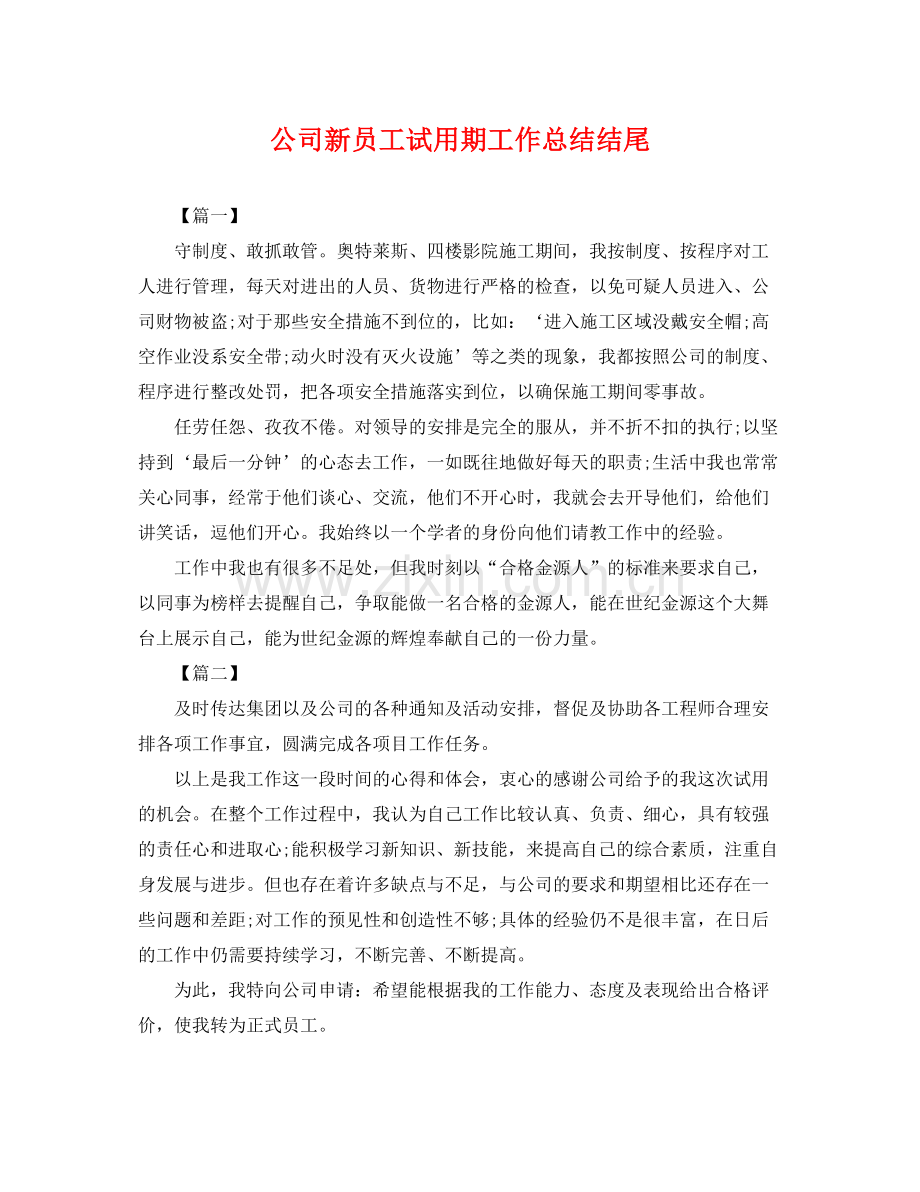 公司新员工试用期工作总结结尾 .docx_第1页