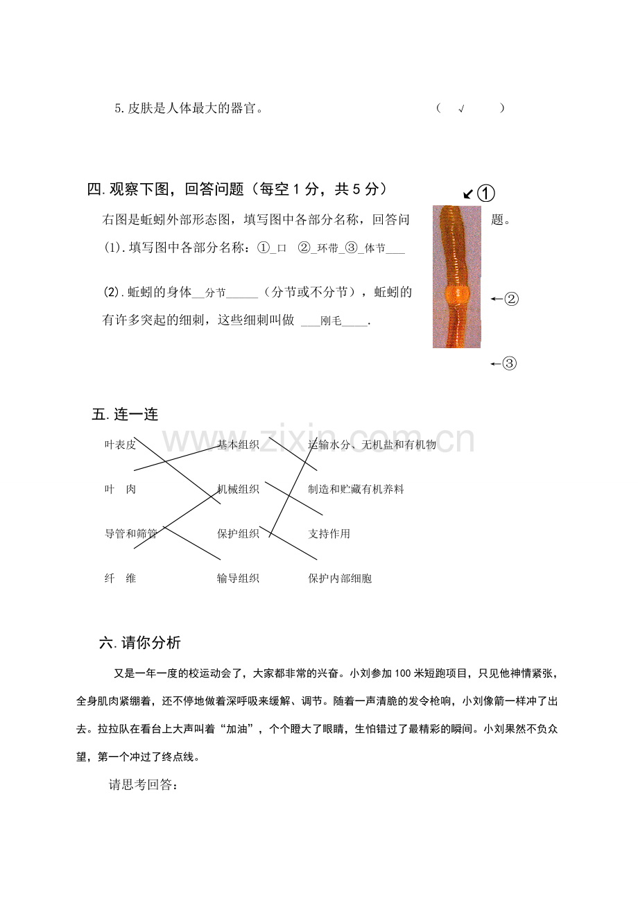 【苏科版七年级下册】第10章 水中的生物：习题课.doc_第3页