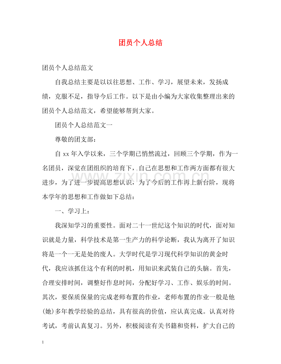 团员个人总结2.docx_第1页