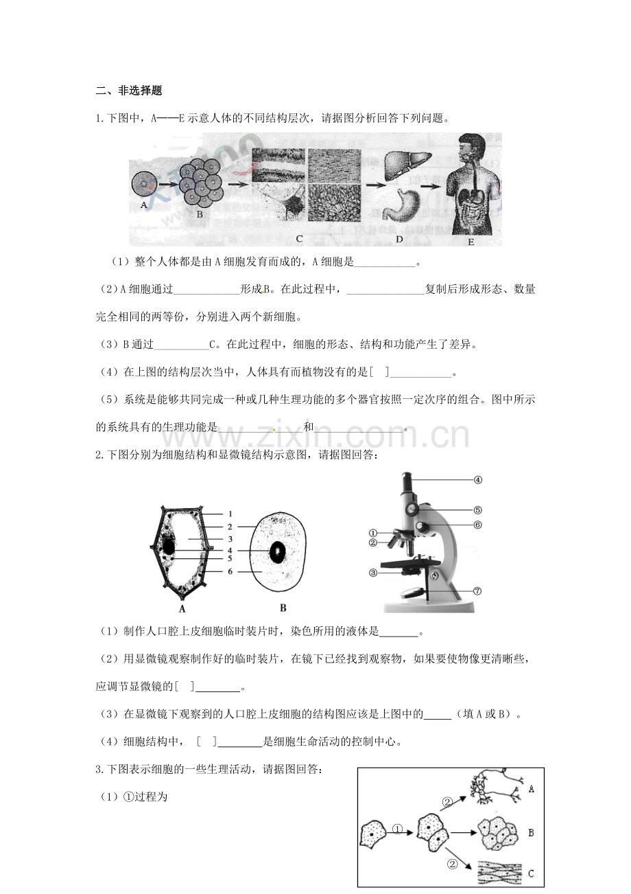 第7章 生物体有相同的基本结构单元测试.doc_第3页