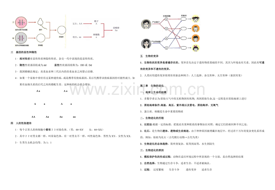 八年级生物下册教案人教版.doc_第2页