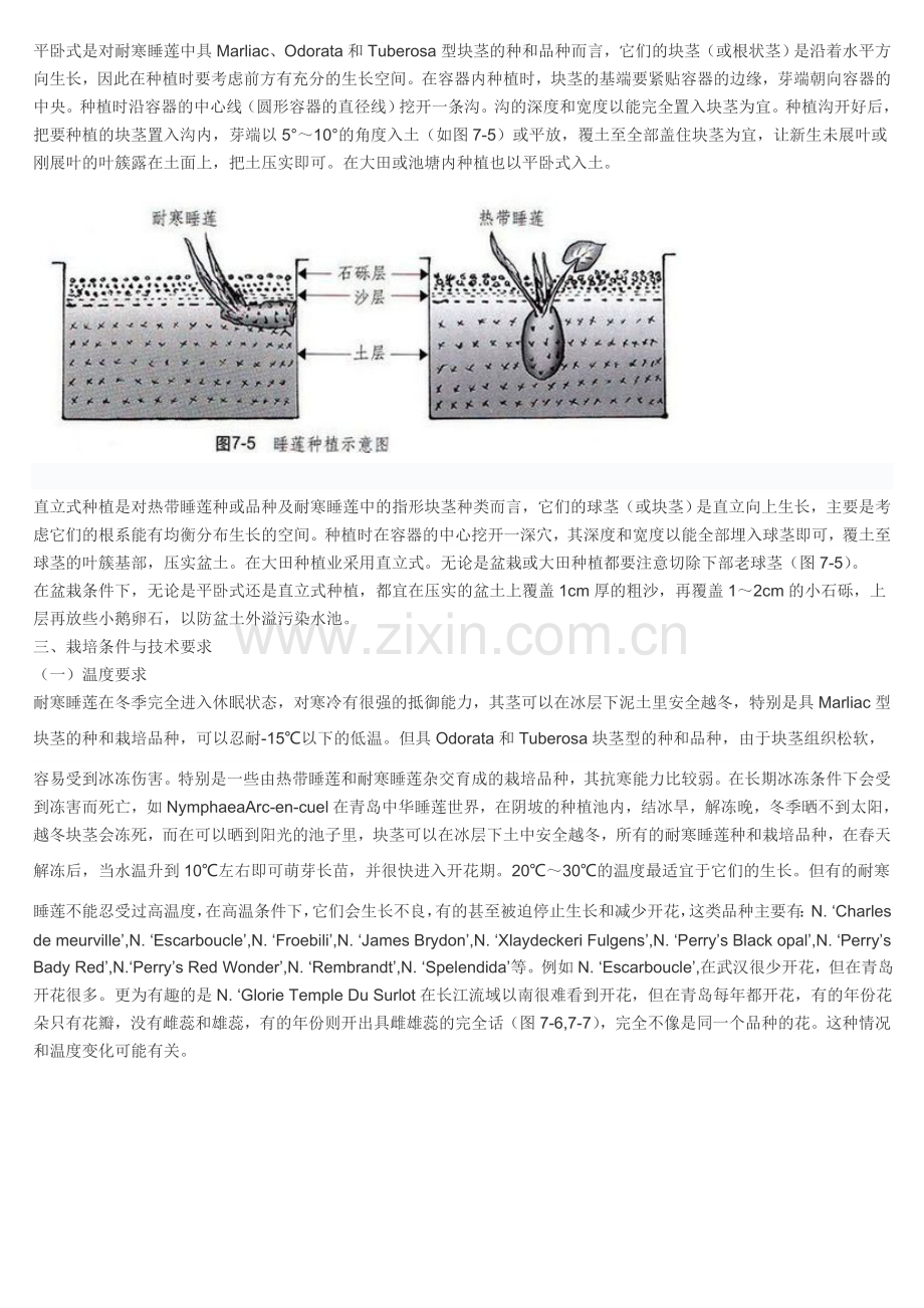 睡莲的栽培与管理技术.doc_第2页