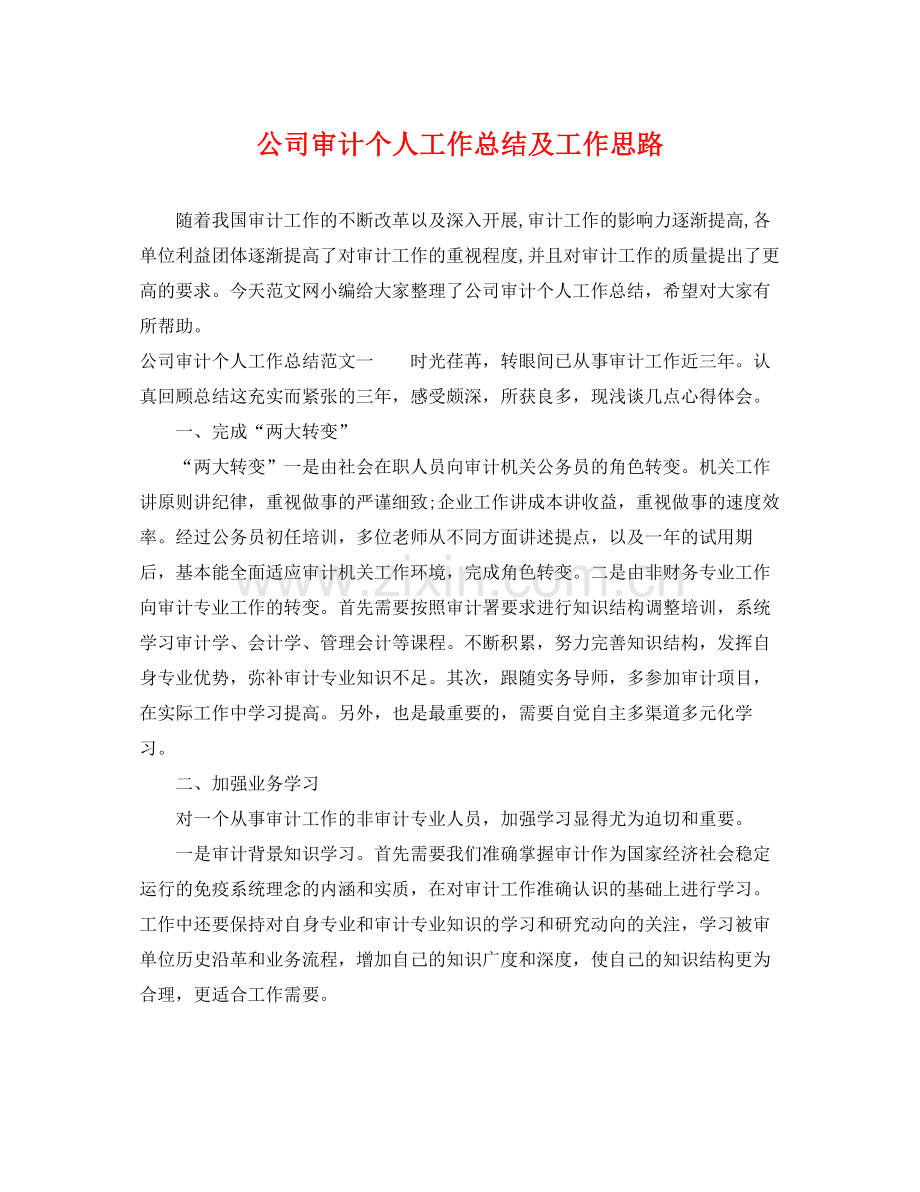 公司审计个人工作总结及工作思路 .docx_第1页