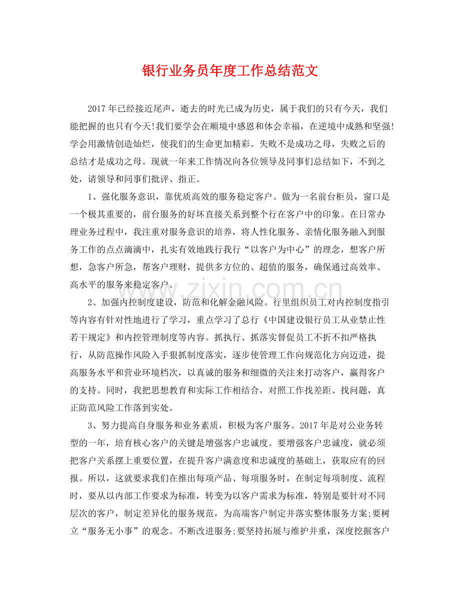 银行业务员年度工作总结范文 .docx_第1页