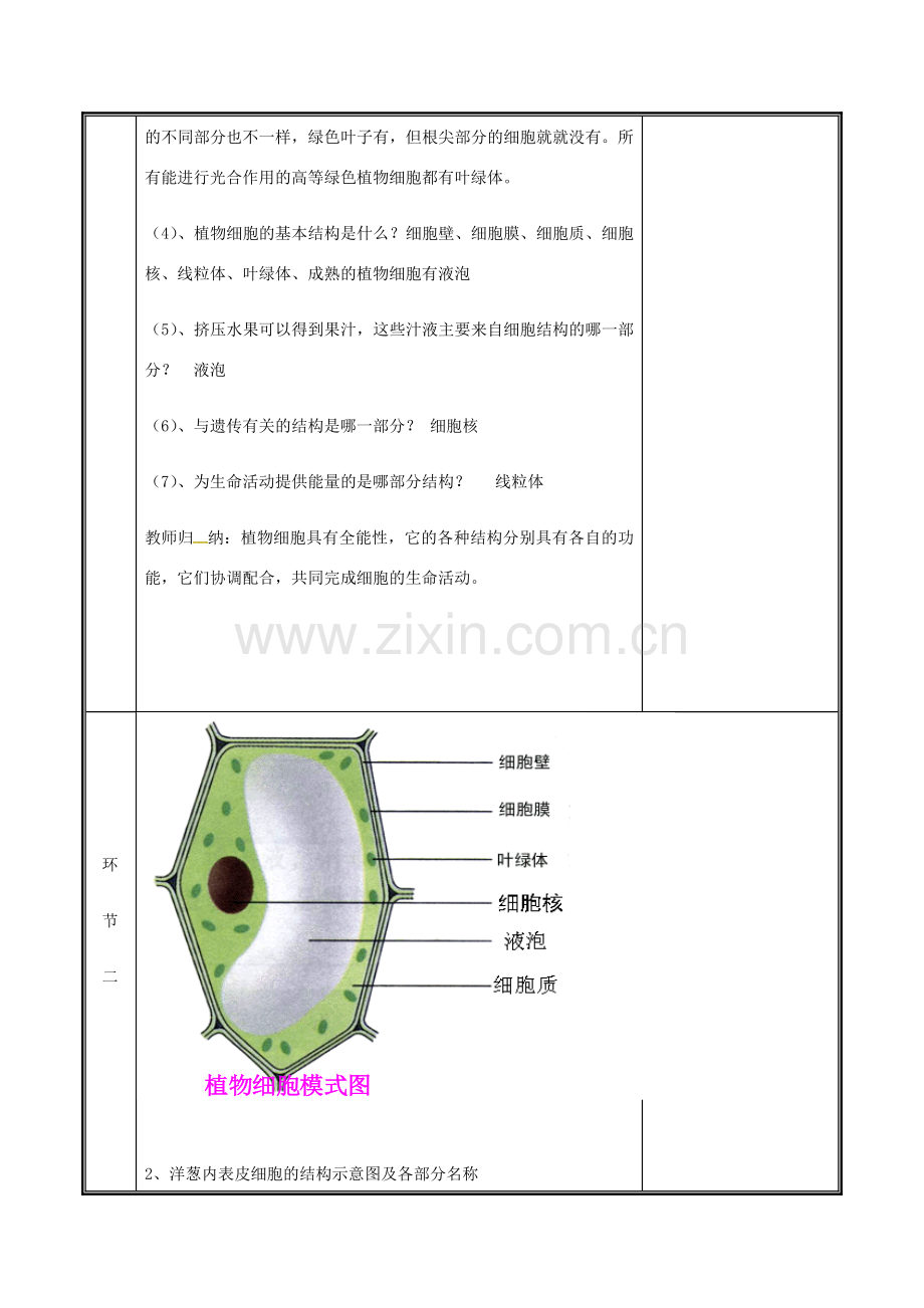 河南省中牟县七年级生物上册 2.1.2 植物细胞教案2 （新版）新人教版-（新版）新人教版初中七年级上册生物教案.doc_第3页