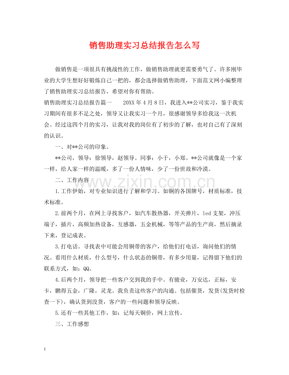 销售助理实习总结报告怎么写.docx_第1页