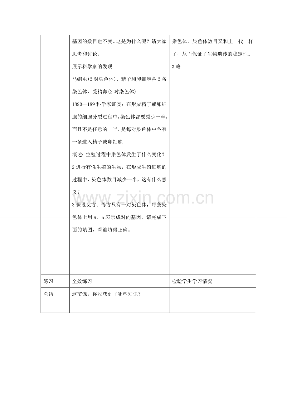 湖南省长沙市长郡芙蓉中学八年级生物下册《7.2.2 基因在亲子代间的传递》教案 新人教版.doc_第3页