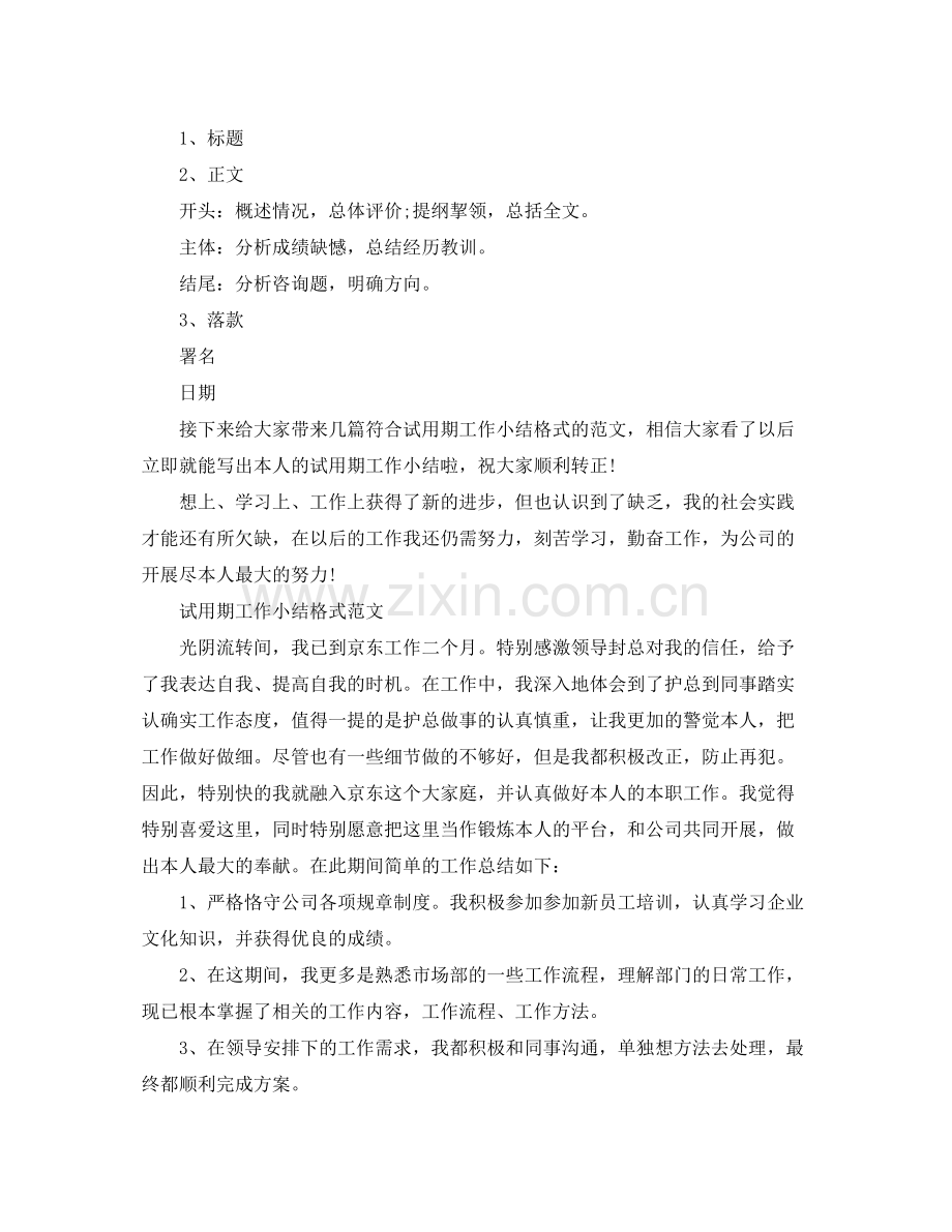 工作参考总结格式试用期工作参考总结格式「荐读」.docx_第2页