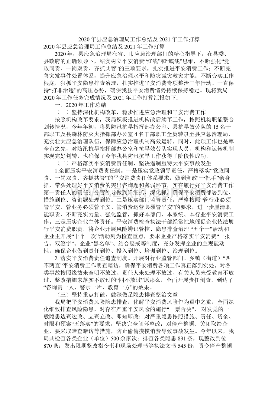 县应急管理局工作总结及工作计划参考.docx_第1页