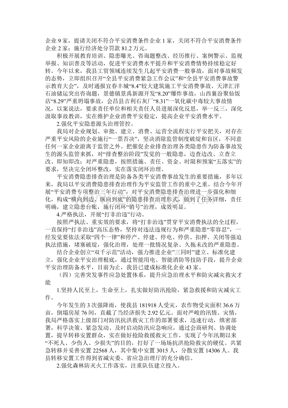 县应急管理局工作总结及工作计划参考.docx_第2页