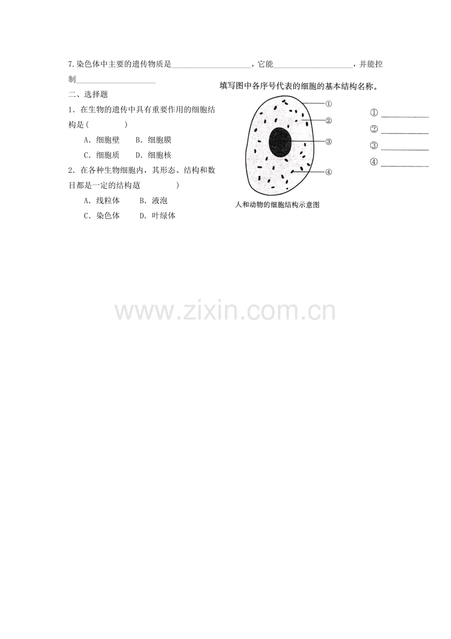 辽宁省辽阳市第九中学七年级生物上册《2.3.2 人和动物细胞的结构和功能》学案（无答案） 新人教版.doc_第3页