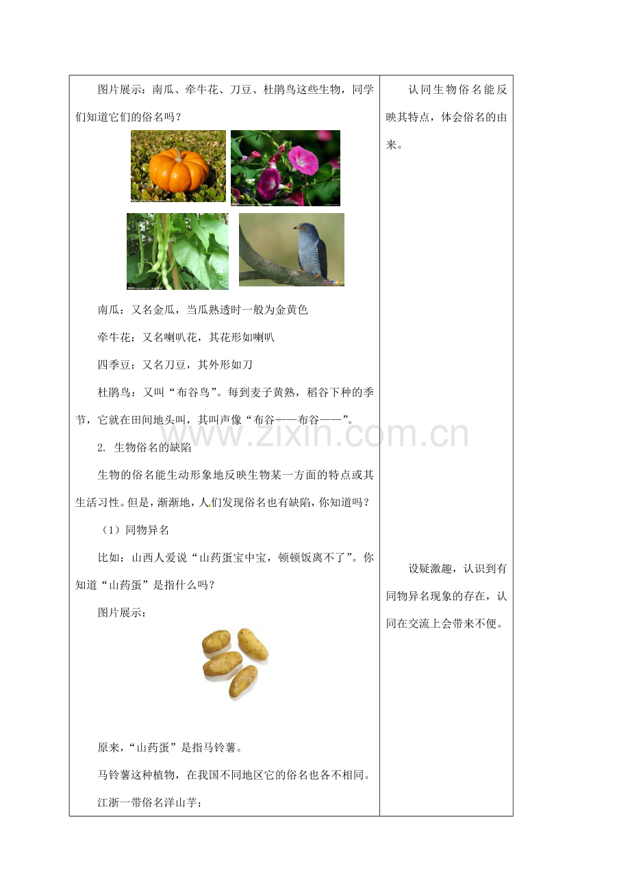 七年级生物下册 14.1 生物的命名和分类教案 苏科版-苏科版初中七年级下册生物教案.doc_第2页