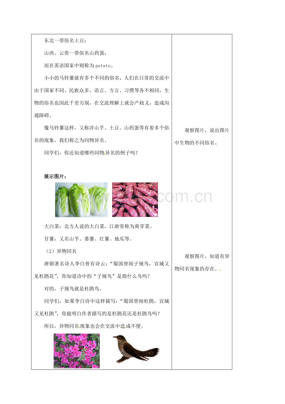 七年级生物下册 14.1 生物的命名和分类教案 苏科版-苏科版初中七年级下册生物教案.doc_第3页