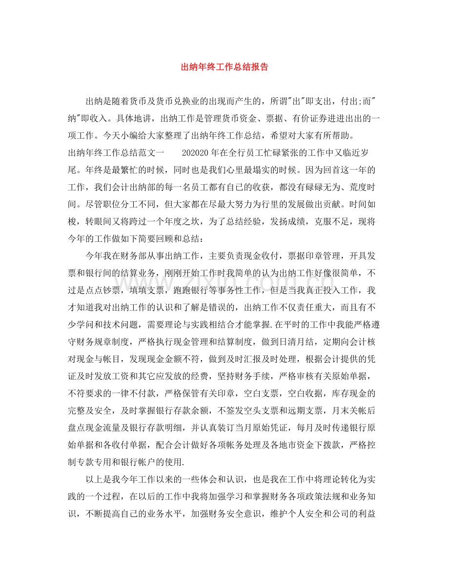 出纳年终工作总结报告.docx_第1页