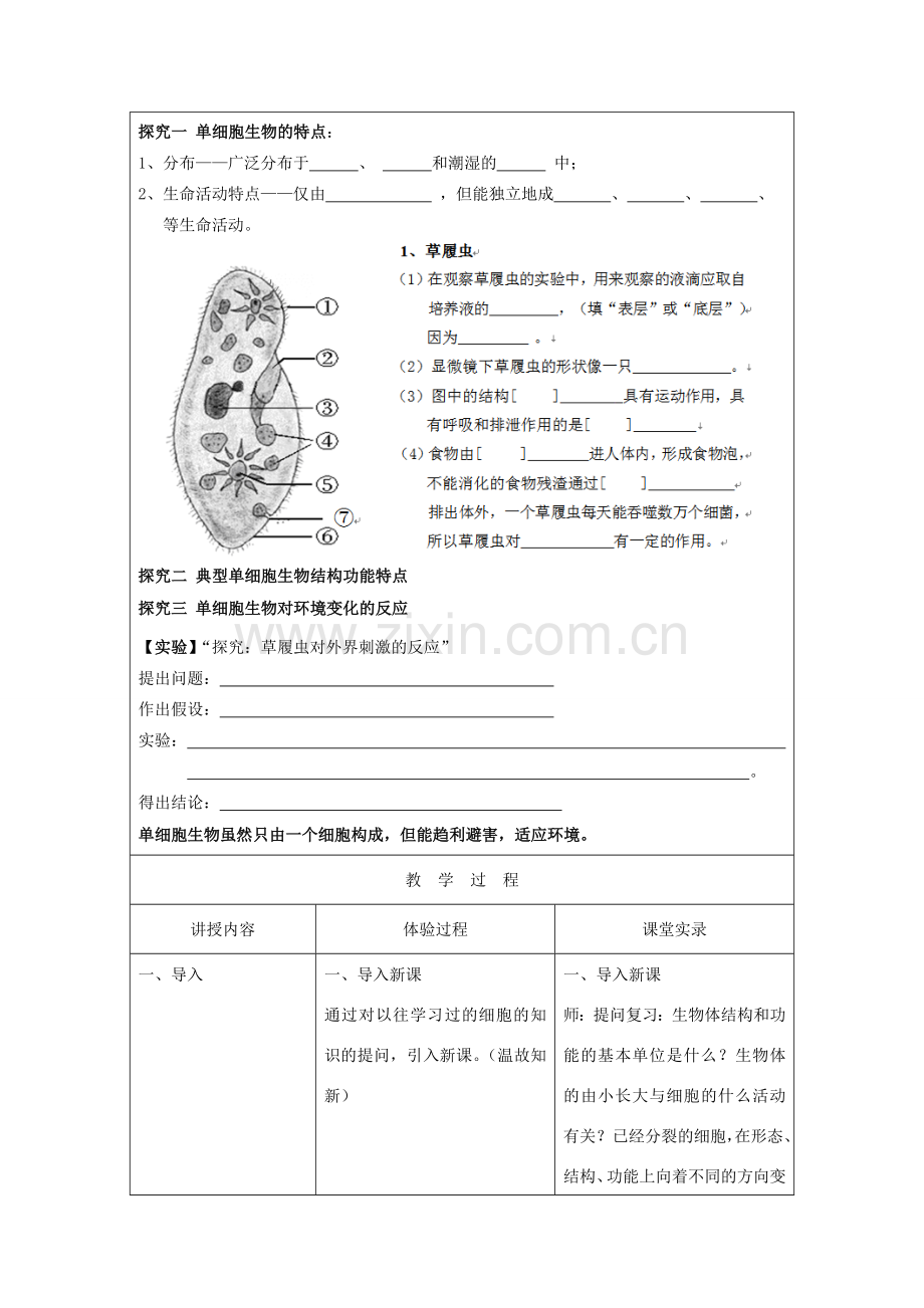 七年级生物上册 2.4.1-2.4.2教案 （新版）苏教版-（新版）苏教版初中七年级上册生物教案.doc_第3页