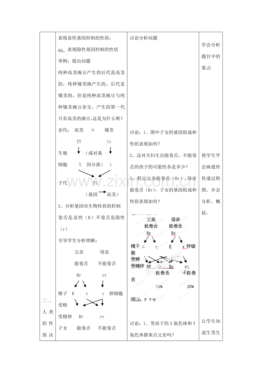 江苏省丹阳市第三中学八年级生物下册《21-1-2 生物的遗传》教案 苏科版.doc_第2页