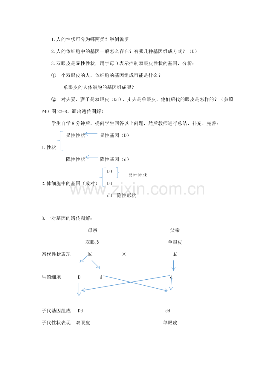 八年级生物下册 第八单元 生物的生殖、发育与遗传 第二十二章 生物的遗传和变异 第二节 人的性状和遗传教案3（新版）苏教版-（新版）苏教版初中八年级下册生物教案.docx_第3页