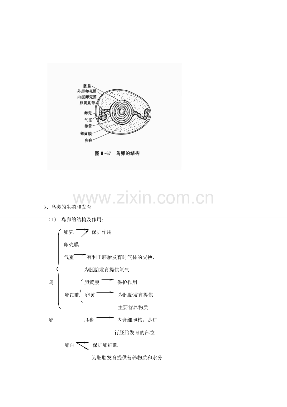 八年级生物上册 18 人的生殖和发育章节综合复习 教案 苏科版.doc_第3页