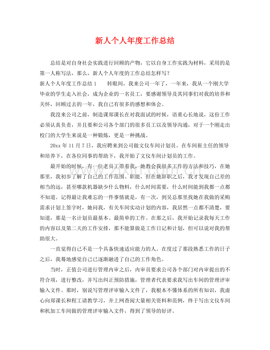 新人个人年度工作总结 .docx_第1页