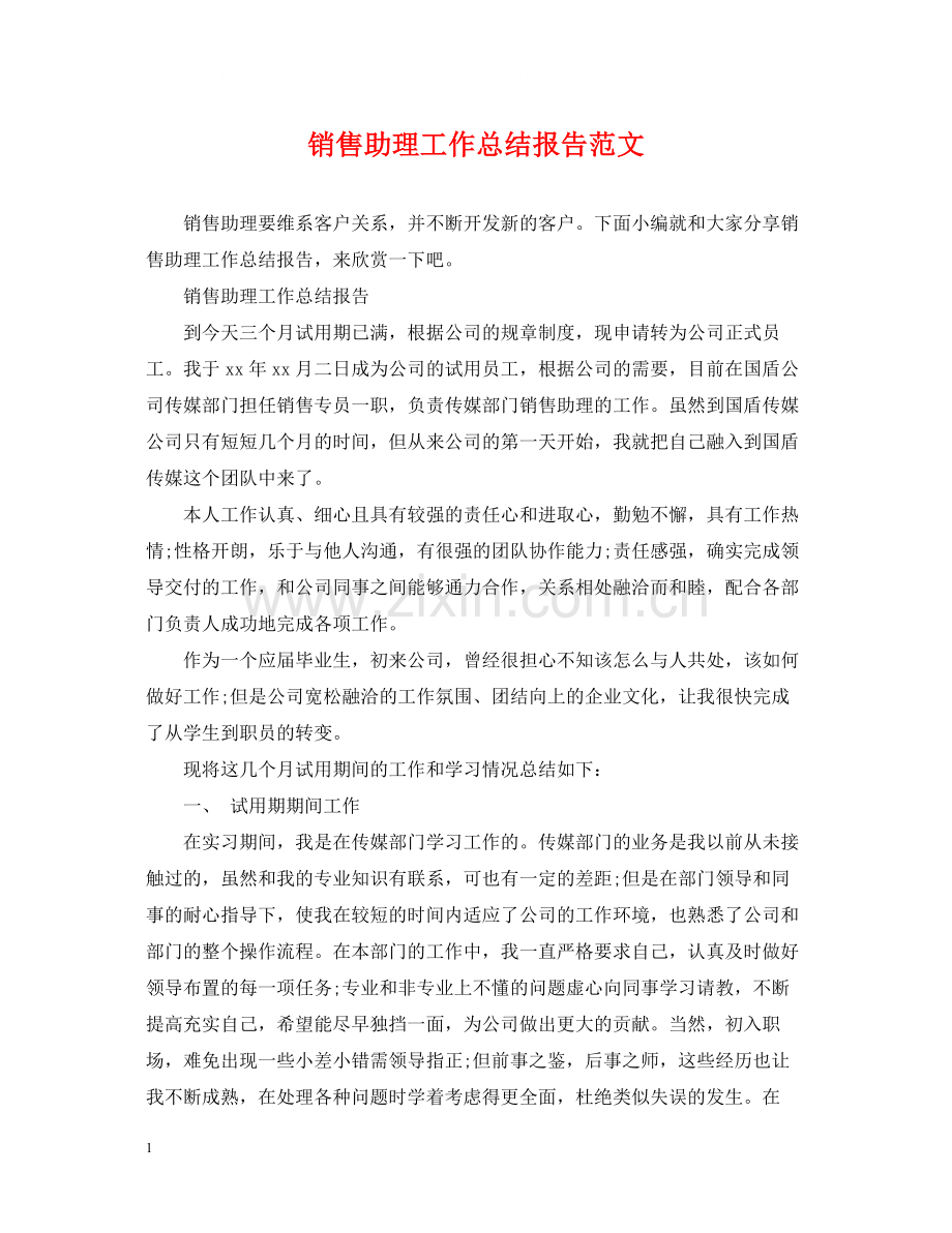 销售助理工作总结报告范文.docx_第1页