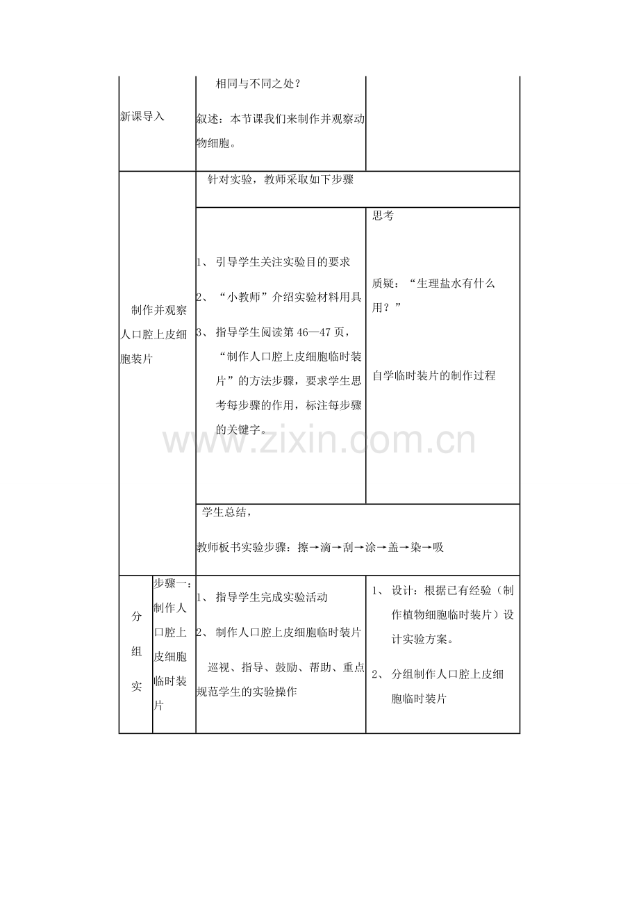 新疆精河县七年级生物上册 2.1.3动物细胞教案 （新版）新人教版-（新版）新人教版初中七年级上册生物教案.doc_第2页