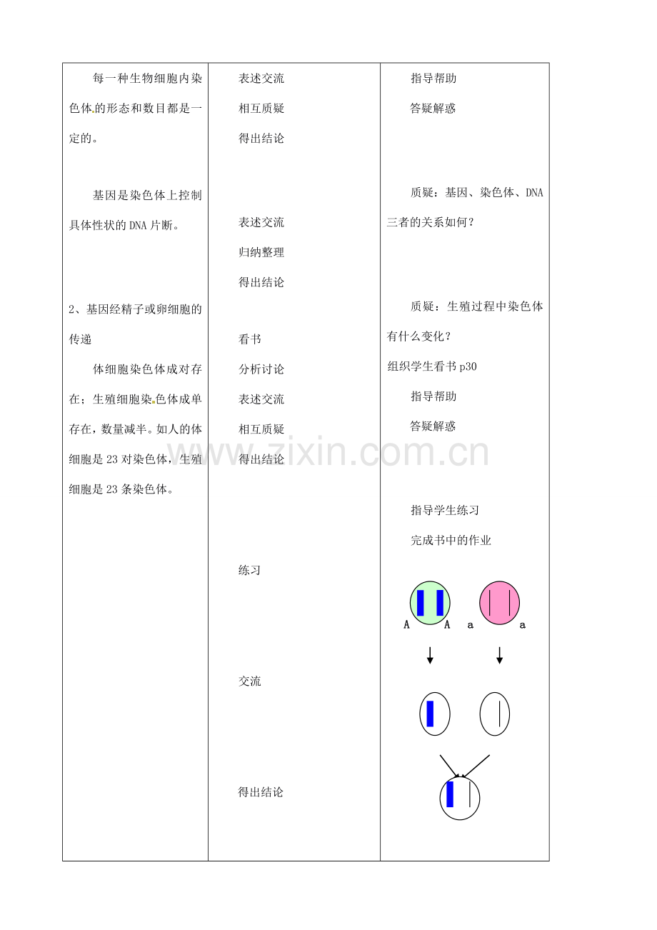 山东省临沂市青云镇中心中学八年级生物下册《基因在亲子代间的传递》教案 人教新课标版.doc_第2页