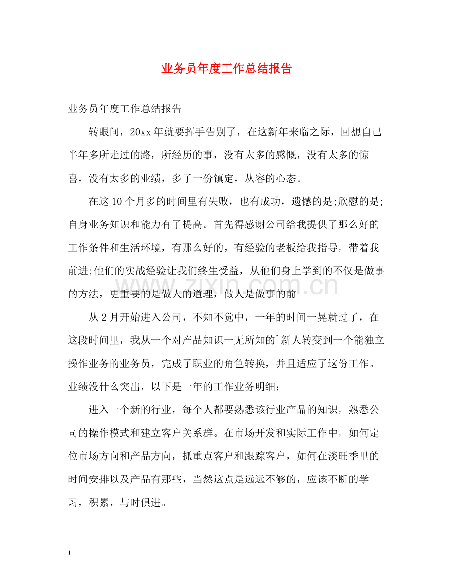 业务员年度工作总结报告.docx_第1页