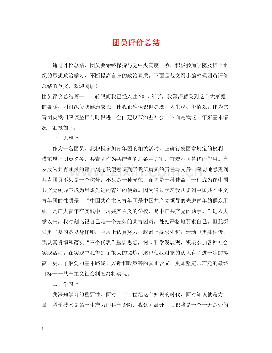 团员评价总结.docx_第1页