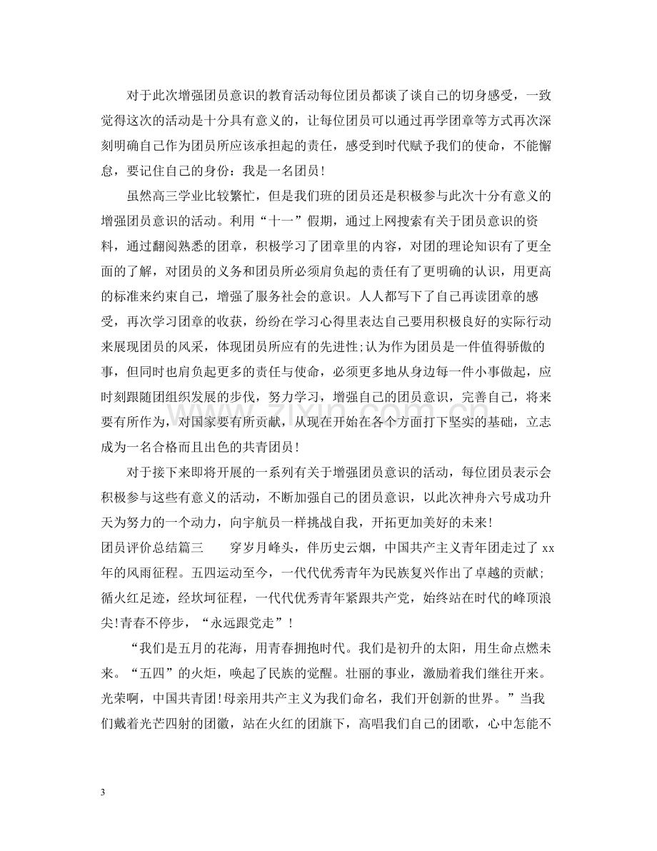 团员评价总结.docx_第3页