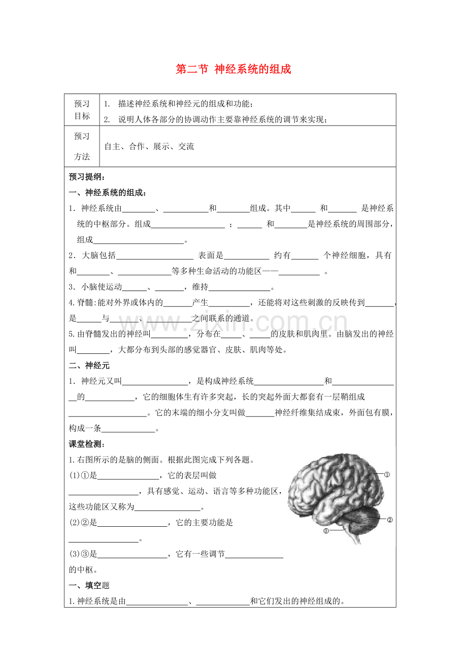 山东省泰安新泰市七年级生物下册 6.2 神经系统的组成学案（无答案） 新人教版.doc_第1页