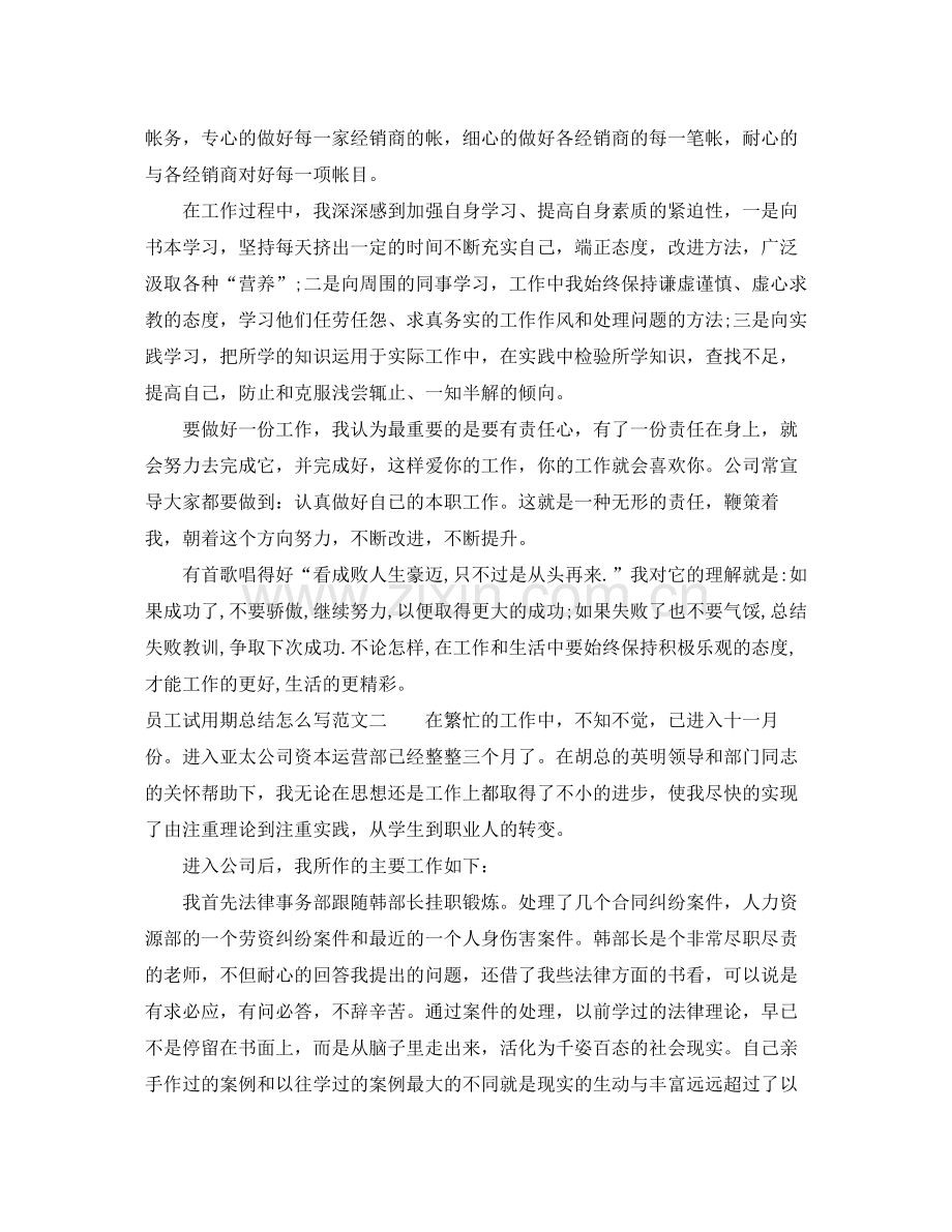 员工试用期总结怎么写.docx_第2页