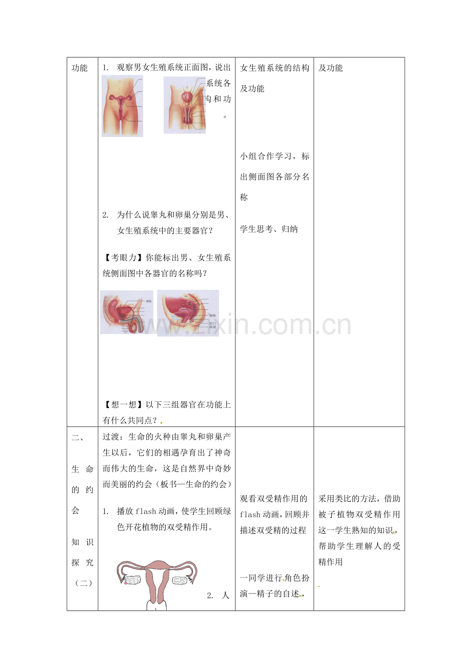 春七年级生物下册 第四单元 第一章 第二节 人的生殖教案 （新版）新人教版-（新版）新人教版初中七年级下册生物教案.doc_第3页