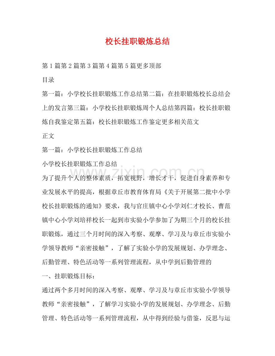 校长挂职锻炼总结.docx_第1页