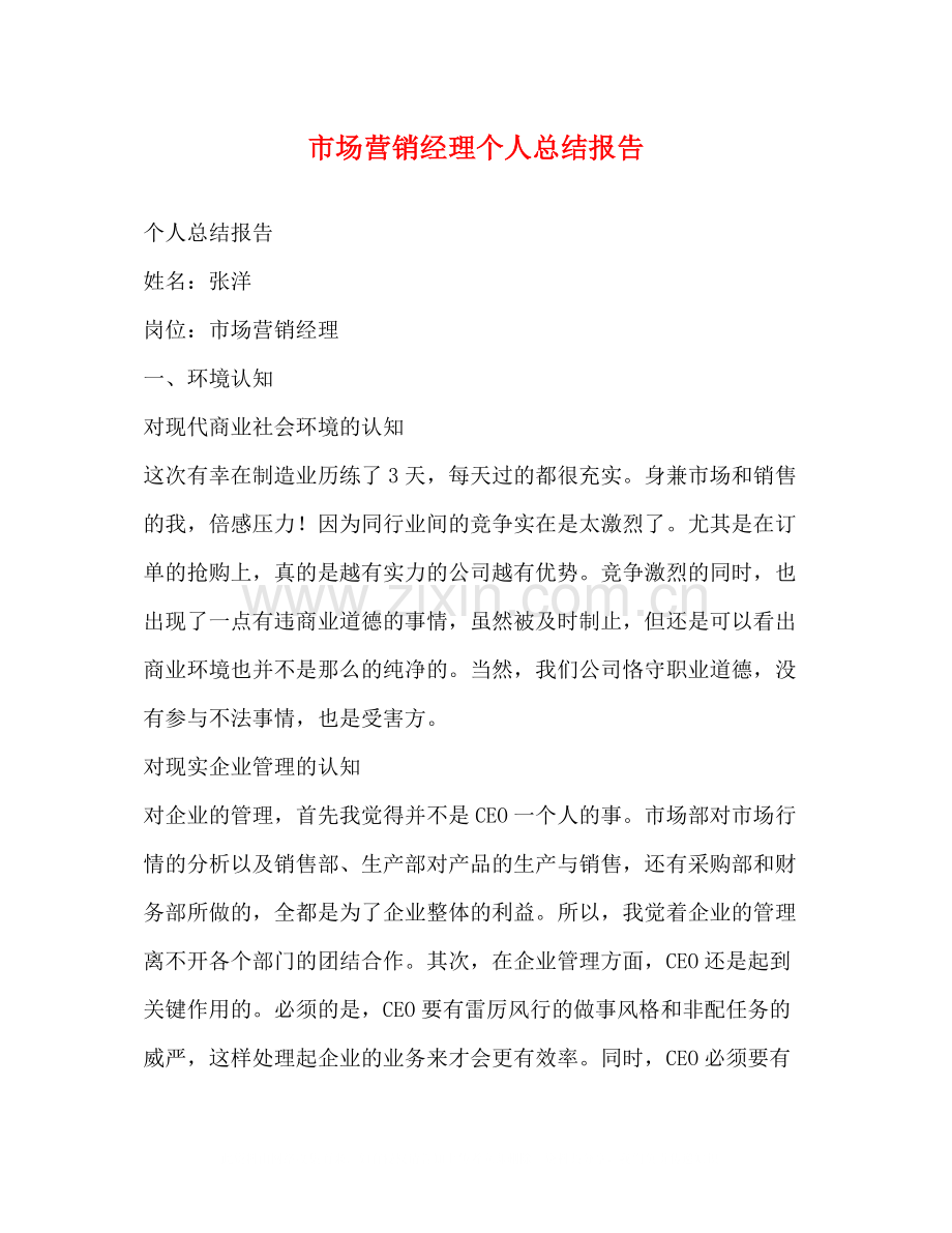 市场营销经理个人总结报告.docx_第1页