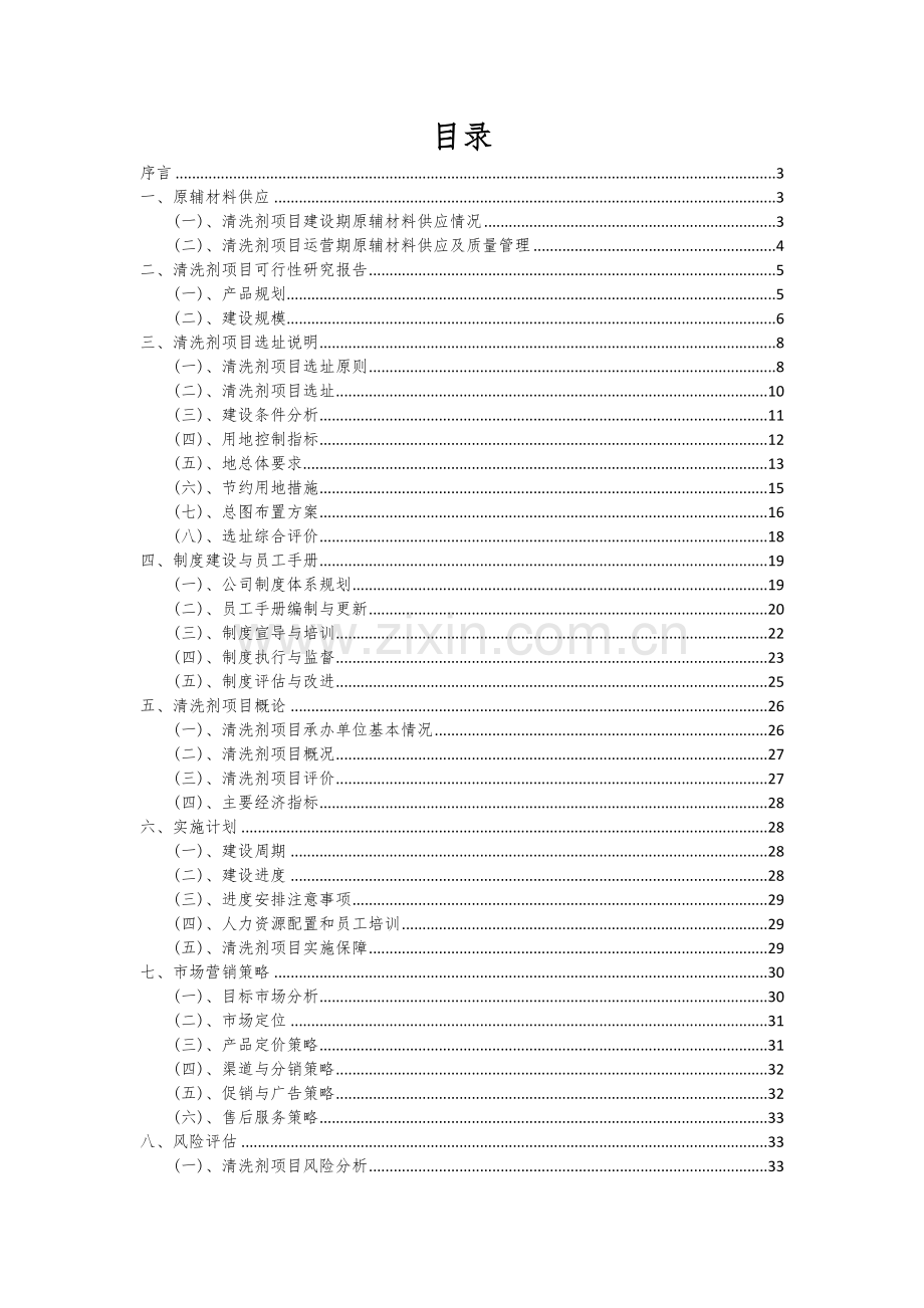 清洗剂项目可行性研究报告.docx_第2页