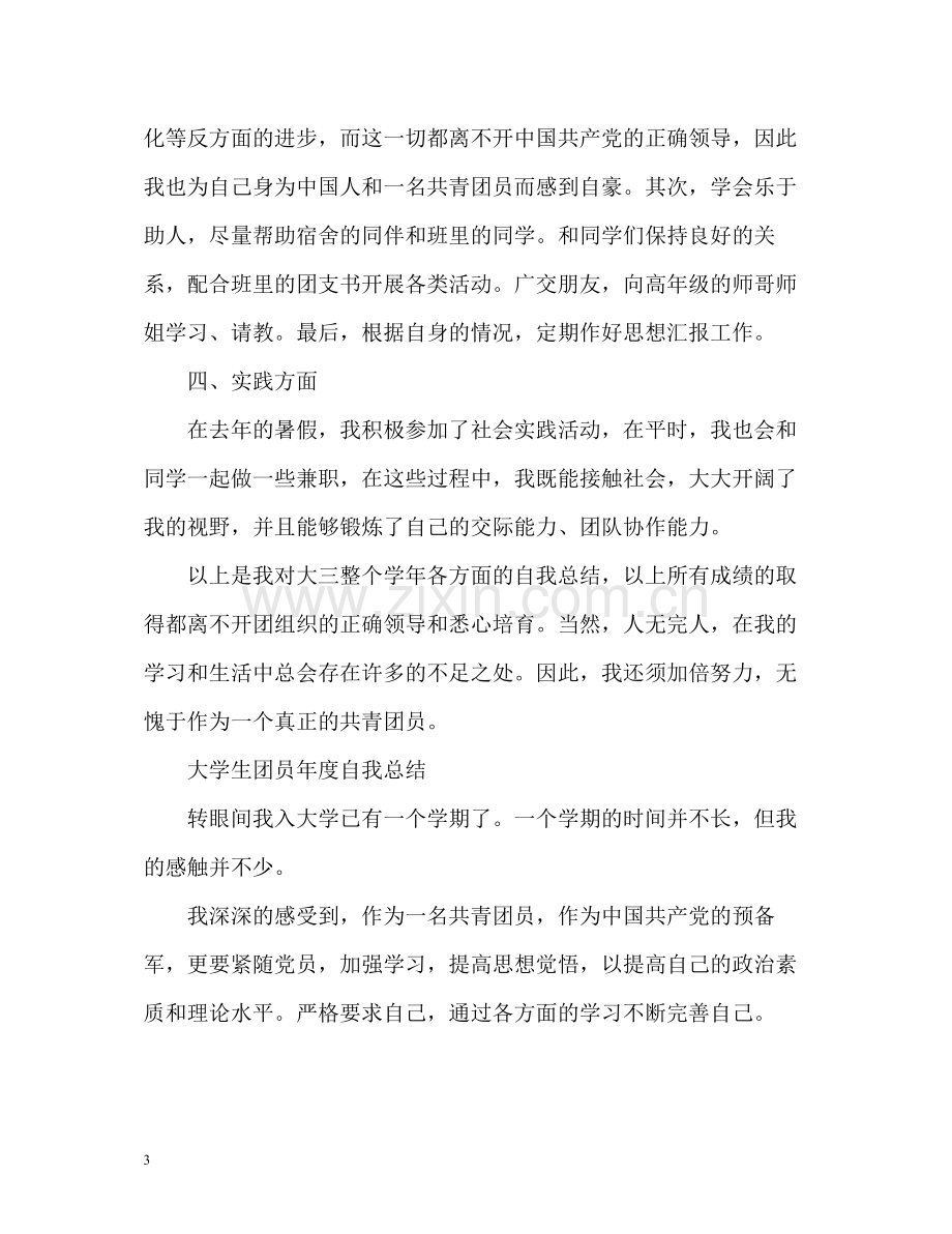 团员年度自我总结.docx_第3页