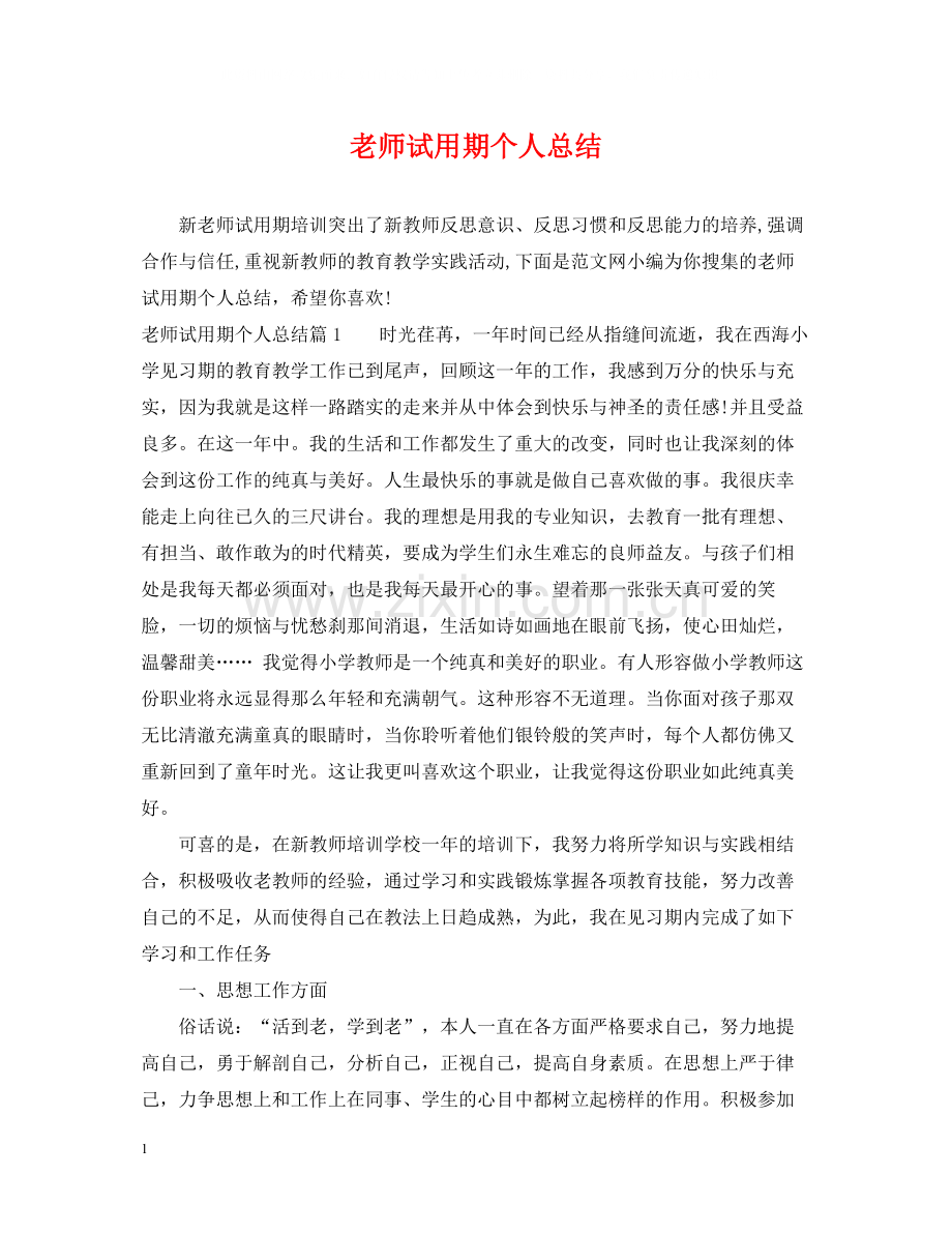 老师试用期个人总结.docx_第1页