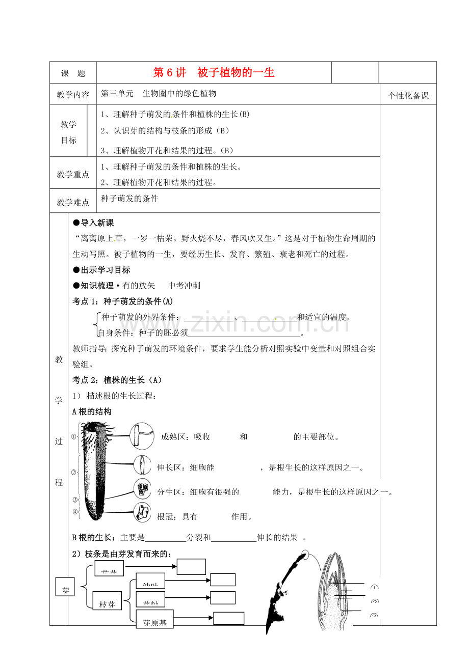 湖南省茶陵县世纪星实验学校八年级生物复习《第6讲被子植物的一生》教案 人教新课标版.doc_第1页