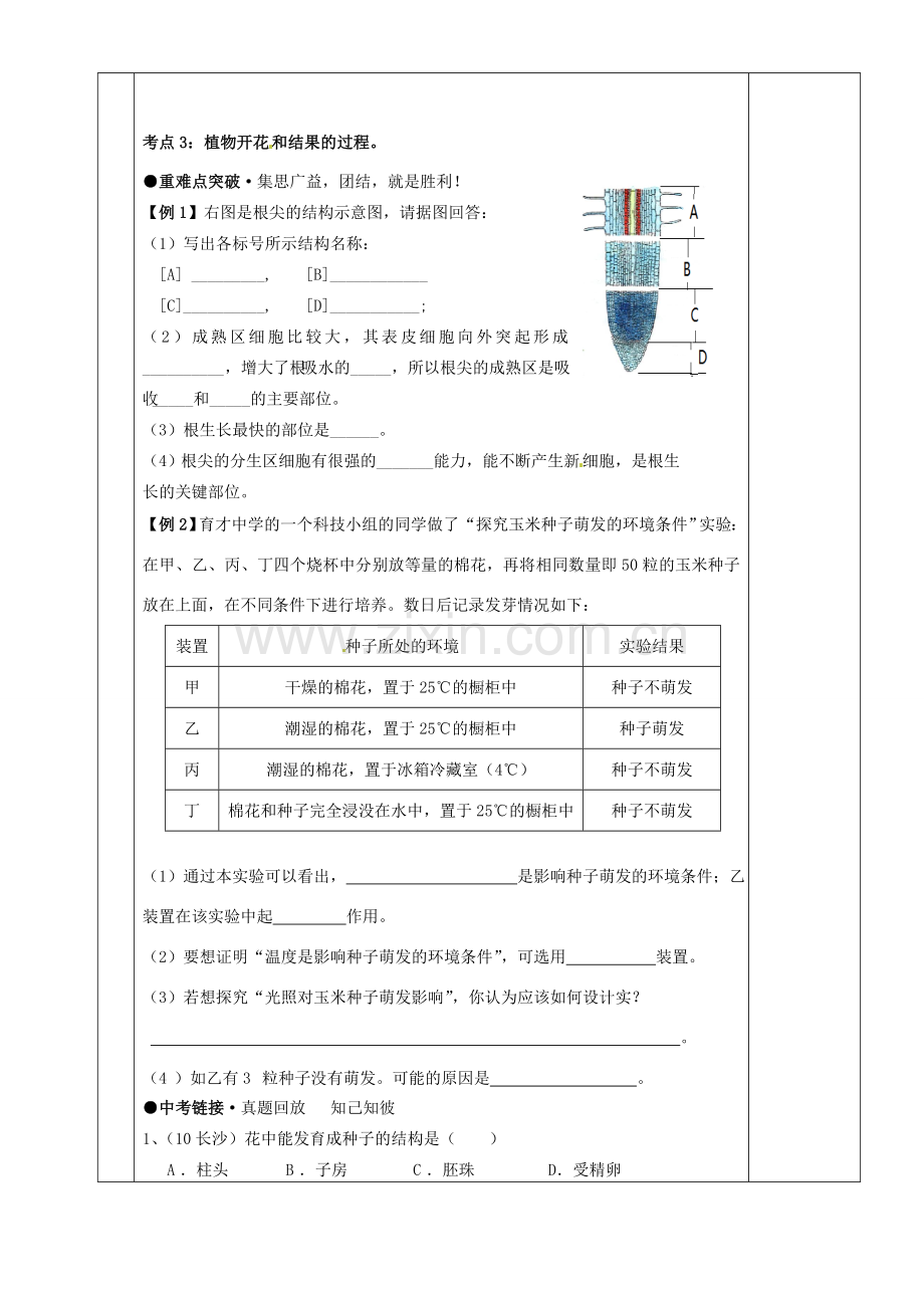 湖南省茶陵县世纪星实验学校八年级生物复习《第6讲被子植物的一生》教案 人教新课标版.doc_第2页