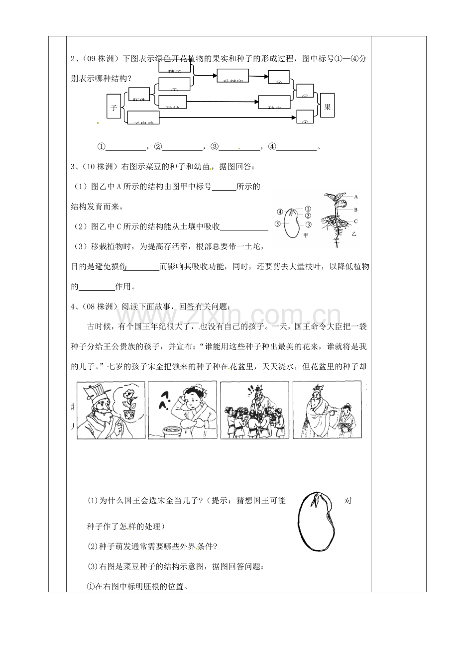 湖南省茶陵县世纪星实验学校八年级生物复习《第6讲被子植物的一生》教案 人教新课标版.doc_第3页