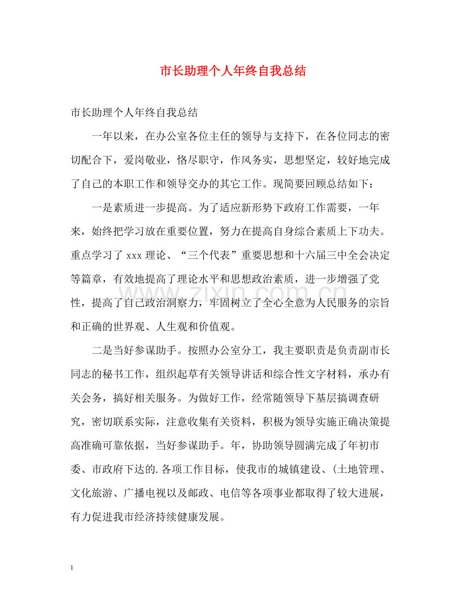 市长助理个人年终自我总结.docx_第1页