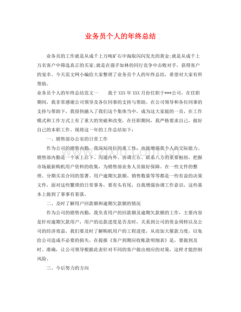 业务员个人的年终总结 .docx_第1页