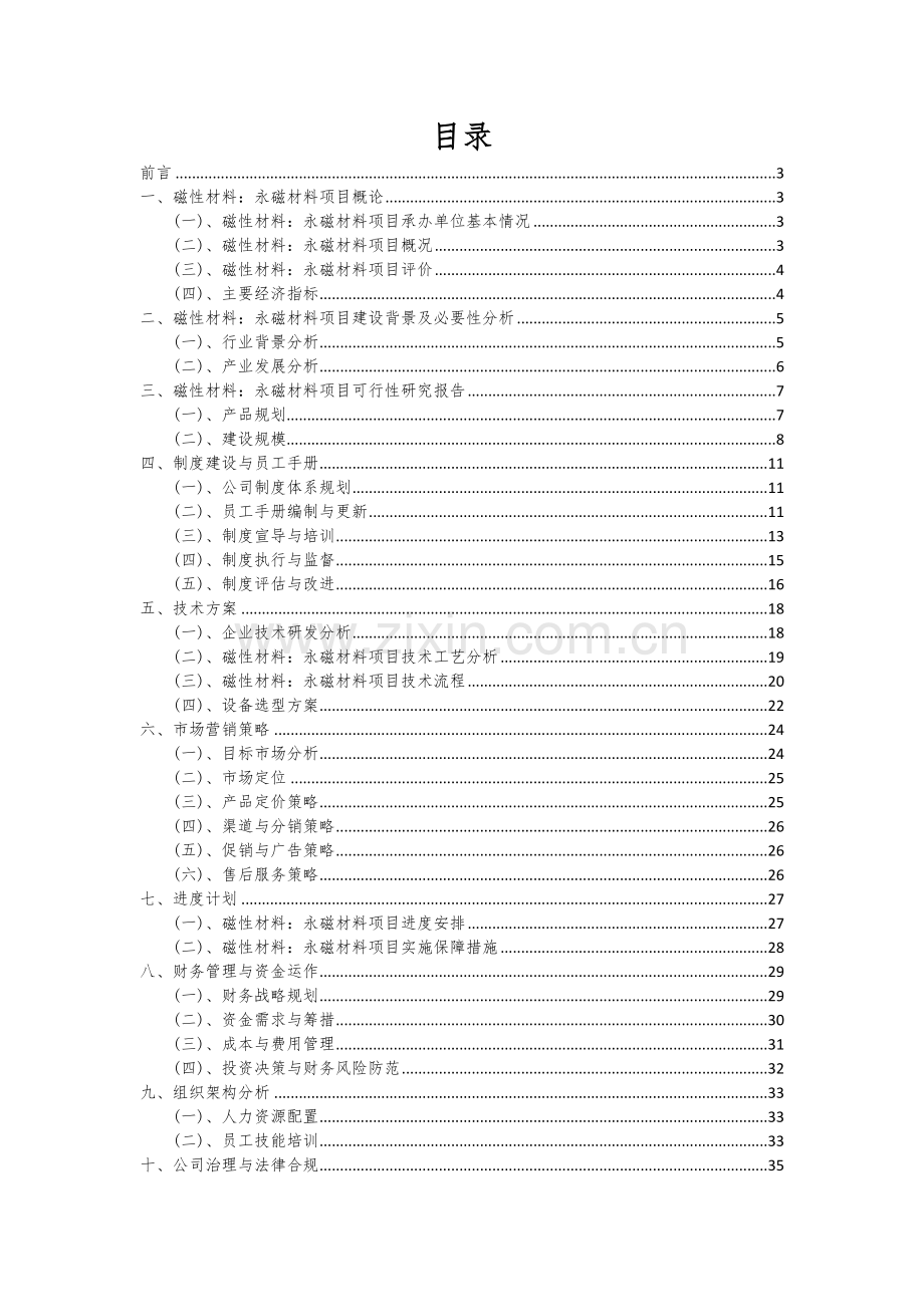 磁性材料：永磁材料项目可行性研究报告.docx_第2页