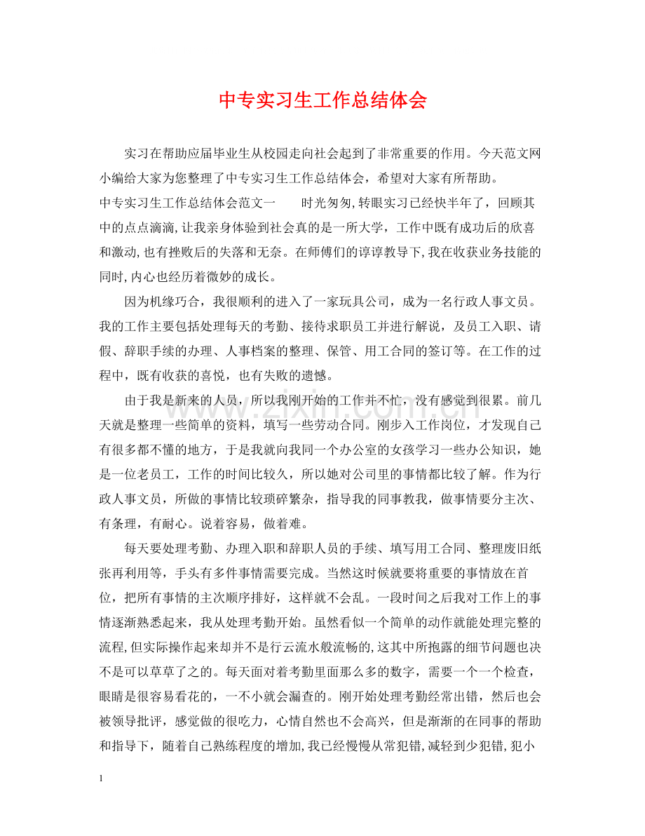 中专实习生工作总结体会.docx_第1页