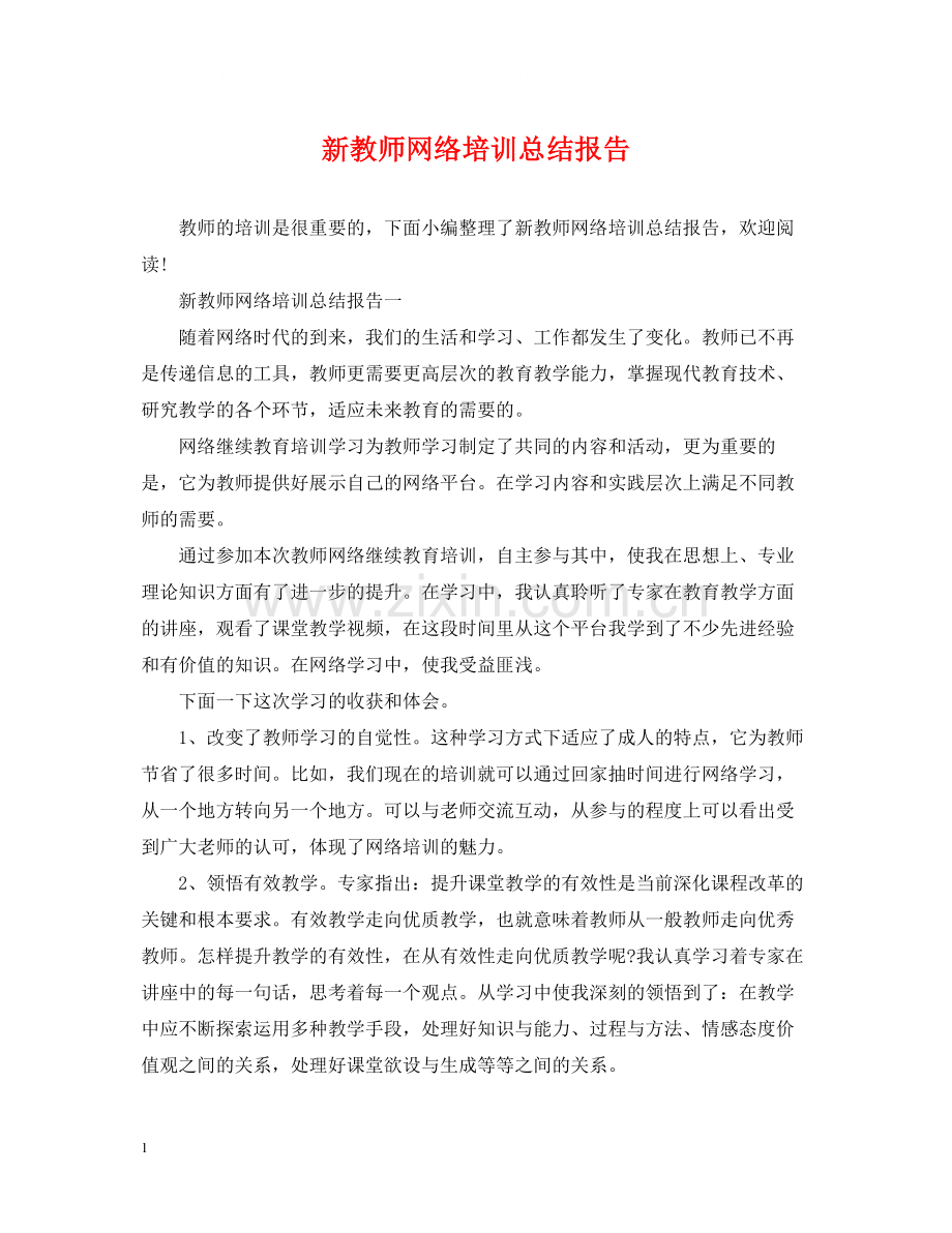 新教师网络培训总结报告.docx_第1页