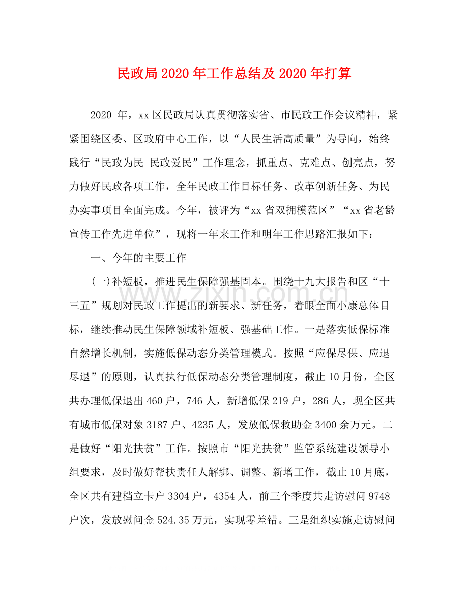 民政局年工作总结及年打算.docx_第1页