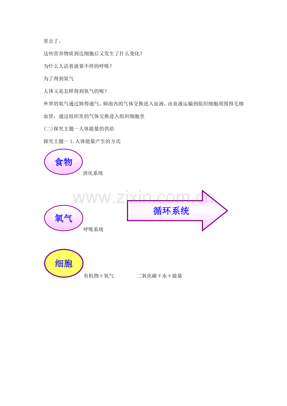 七年级生物下册 第四单元 生物圈中的人 第十章 人体内的物质运输和能量供给 第五节 人体能量的供给教案（新版）苏教版-（新版）苏教版初中七年级下册生物教案.docx_第2页