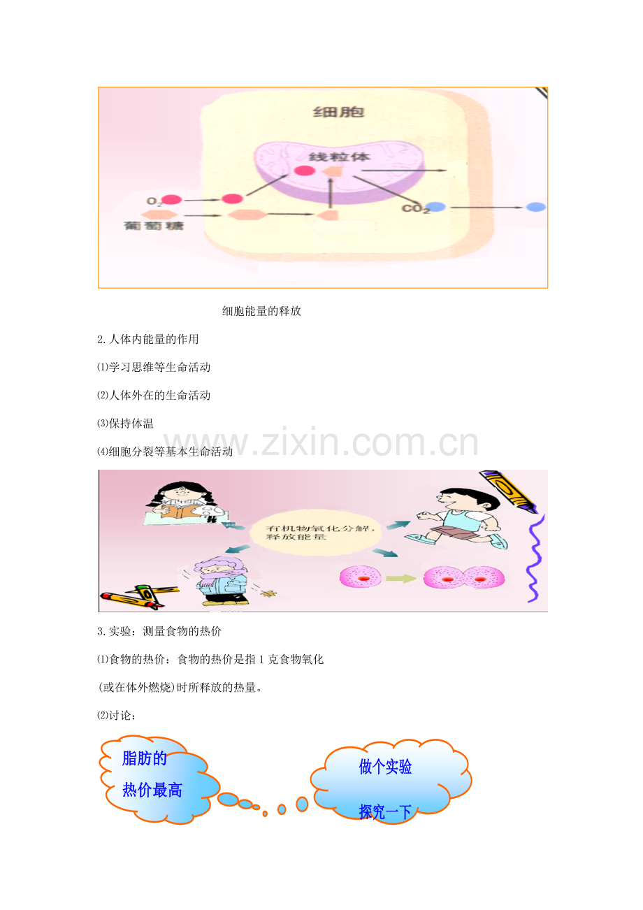 七年级生物下册 第四单元 生物圈中的人 第十章 人体内的物质运输和能量供给 第五节 人体能量的供给教案（新版）苏教版-（新版）苏教版初中七年级下册生物教案.docx_第3页