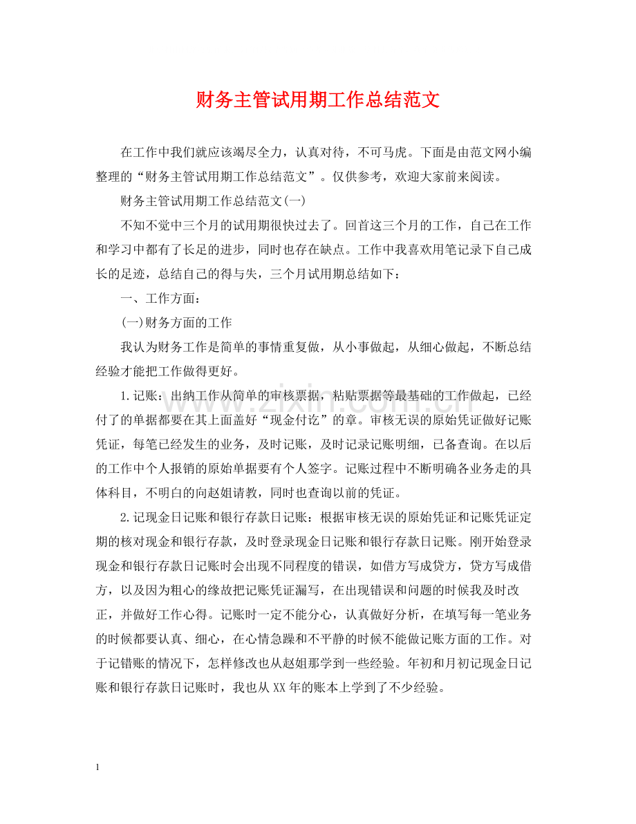 财务主管试用期工作总结范文2.docx_第1页